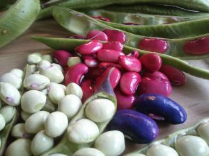 beans to treat depression